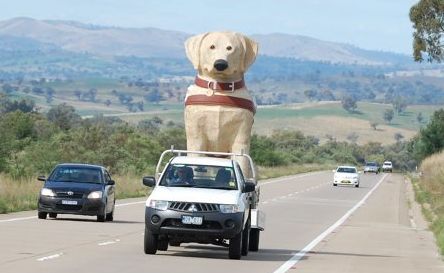 The World’s biggest guide dog will be hard to miss when he arrives in the city this weekend. The World’s biggest guide dog will be hard to miss when he arrives in the city this weekend.